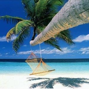 Meet your Posher, Joanna